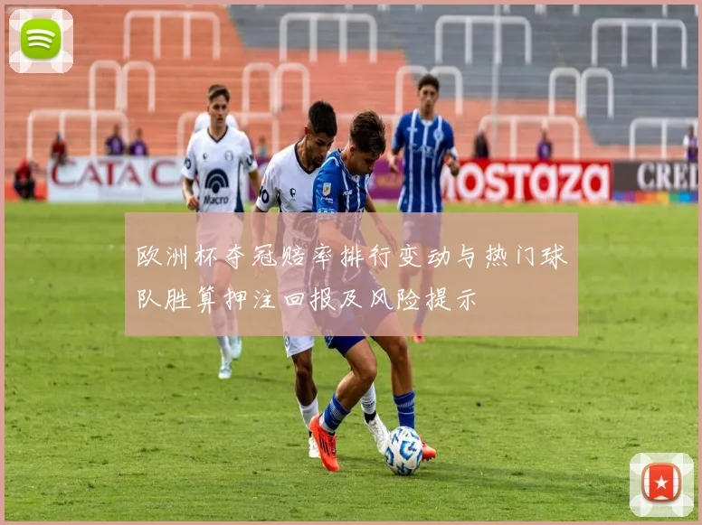 欧洲杯夺冠赔率排行变动与热门球队胜算押注回报及风险提示
