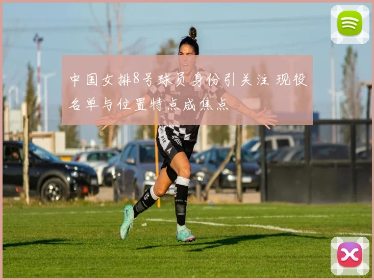 中国女排8号球员身份引关注 现役名单与位置特点成焦点