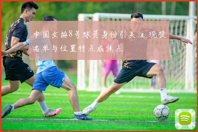 中国女排8号球员身份引关注 现役名单与位置特点成焦点