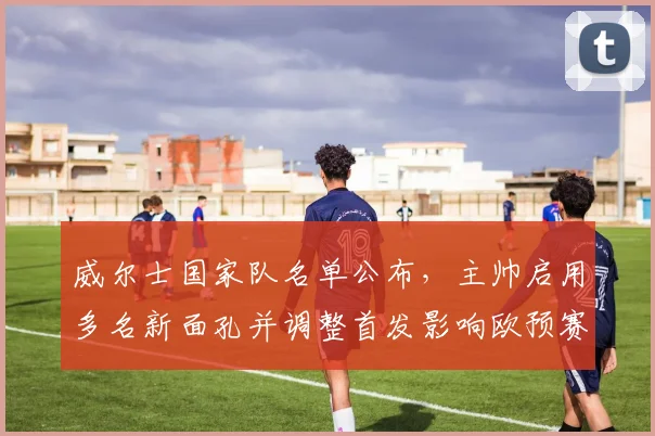 威尔士国家队名单公布，主帅启用多名新面孔并调整首发影响欧预赛备战