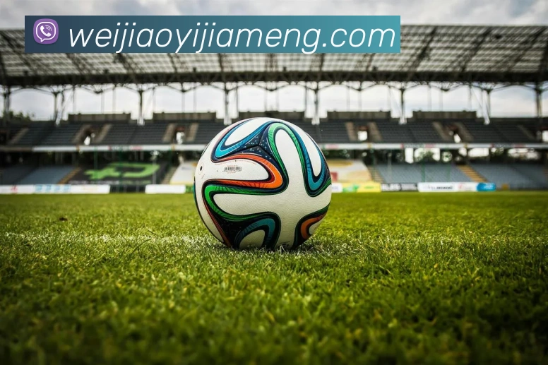 华体网首页官网平台生态图